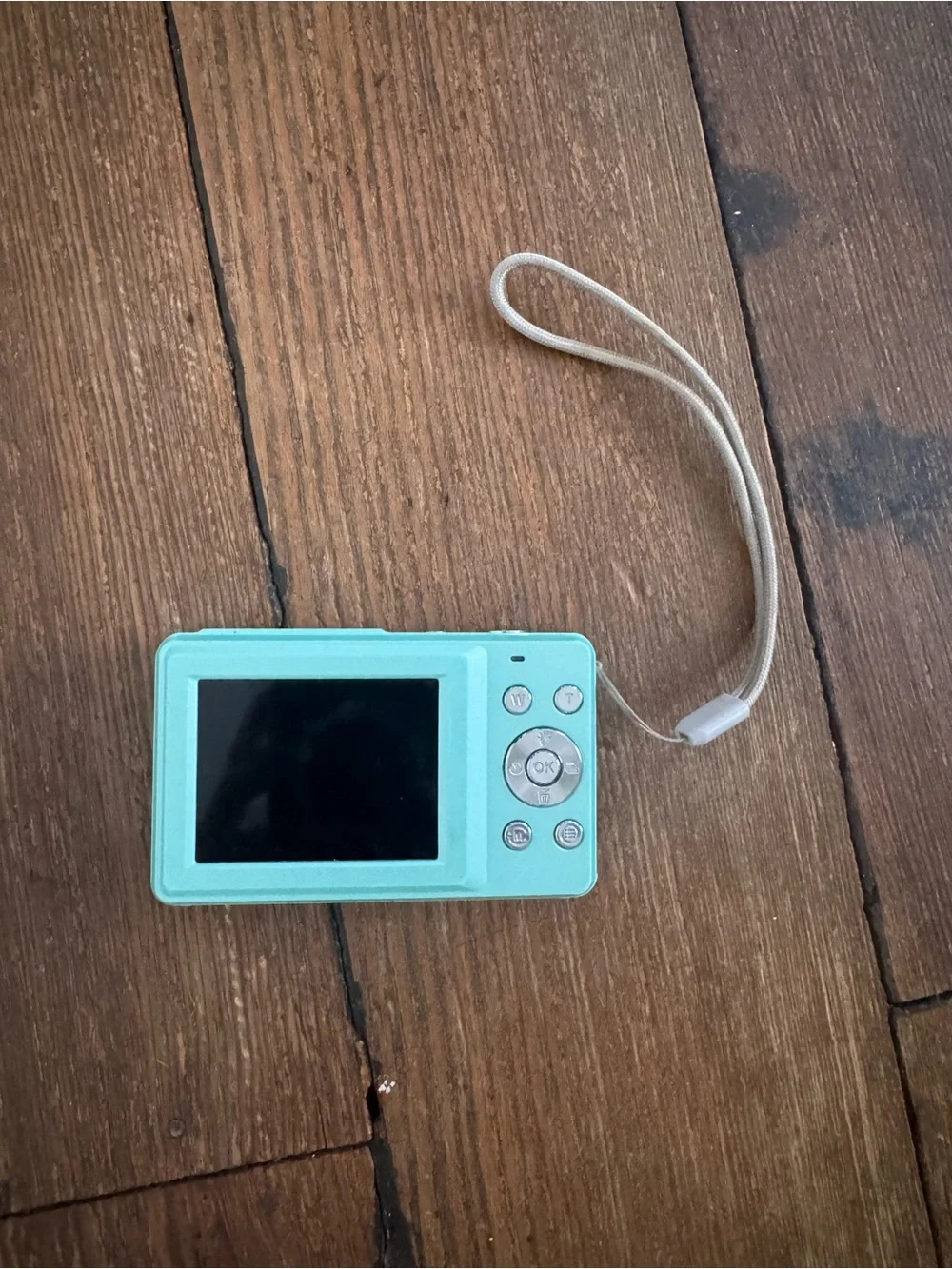 Compact Point-and-Shoot Camera in Mint Blue with SD card